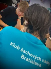 10.05.2026 - Majstrovstvá SR v bleskovom šachu jednotlivcov 2026