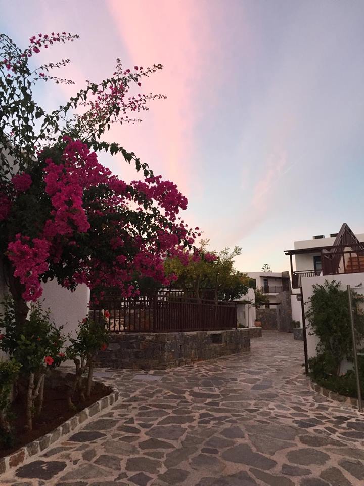 Malá ukážka flóry na Kréte 122